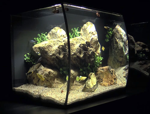 10 gallon saltwater tank kit