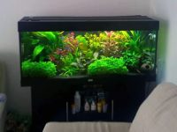 aquarium