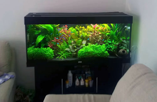 used 20 gallon fish tank