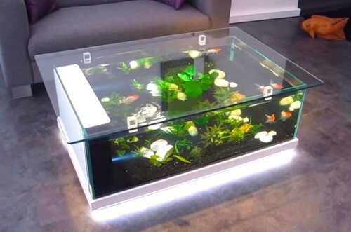 table aquarium fish tank