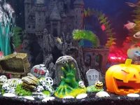 halloween-fish-tank-theme