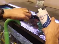 adding water conditioner