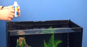 set-up-freshwater-fish-tank-(2)