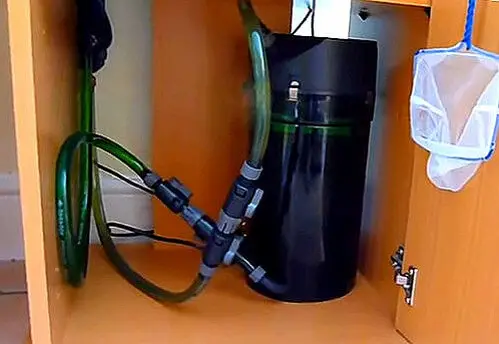 100 gallon fish tank filter