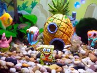spongebob-fish-tank-theme