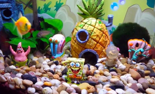 Top Spongebob fish tank decorations and setup guide