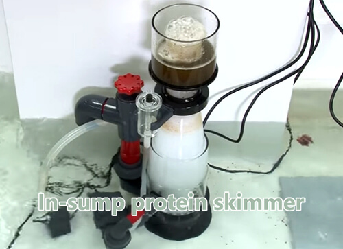 in-sump-protein-skimmer