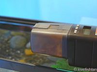 best-automatic-fish-feeder