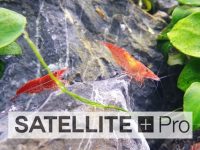 current-usa-satellite-plus-pro-led-light