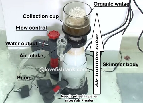 how-protein-skimmer-work