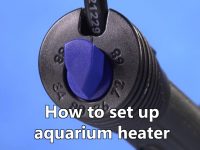 aquarium-heater-setup
