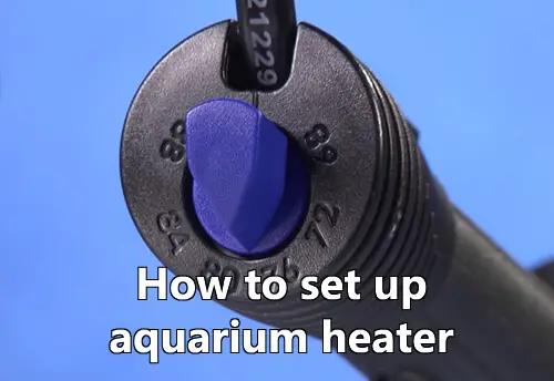 aquarium-heater-setup