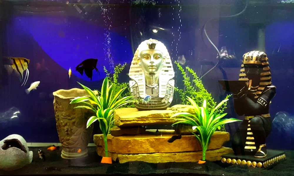 Best Ancient Egyptian Aquarium Decorations & Backgrounds