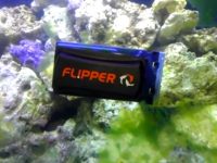 algae-magnet-cleaner