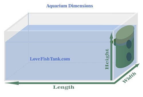 aquarium-dimensions