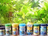 aquarium-fish-food