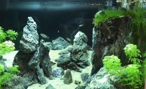 aquarium-hardscape – Love Fish Tank