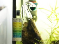 co2-drop-checker-reading