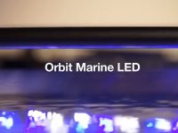 current-usa-orbit-marine