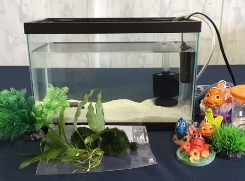 fish tank set