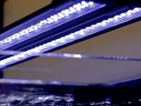 led-aquarium-light