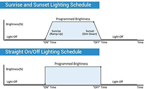 lighting schedule