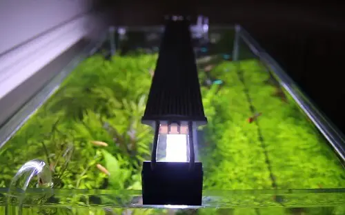 planted-aquarium-led-light