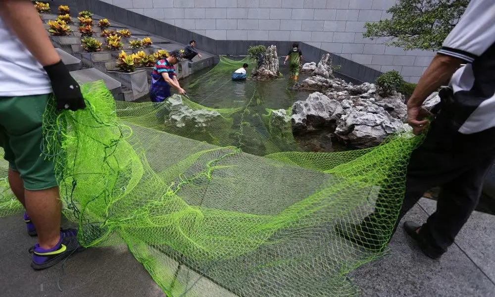 Gardeneer By Dalen Koi Pond-Fish Pool Netting Protective Floating Net 14/' x 14/'