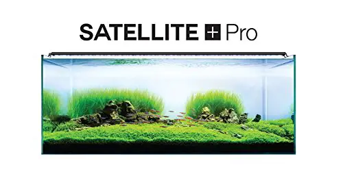 satellite pro