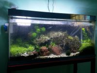 submersible-aquarium-light